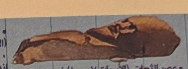 Mummy pictured beside the age of revolts in Egypt