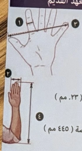 Original measurement drawings: 1 fingerbreadth; 2 handbreadth; 3 span; 4 cubit.